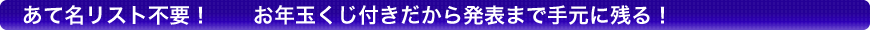 あて名リスト不要！お年玉くじ付きだから発表まで手元に残る！