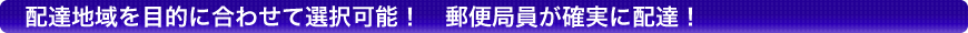 配達地域を目的に合わせて選択可能！　郵便局員が確実に配達！