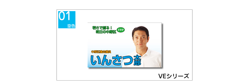 VEシリーズ